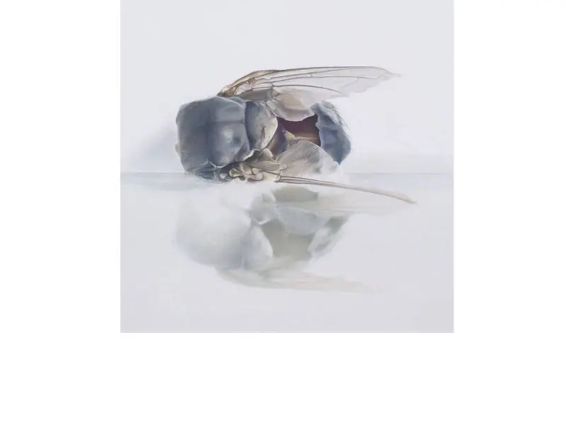 Christine_Leins_Magischer_Realismus_1992-1998