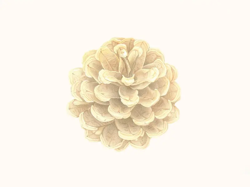 104_Christine-Leins_Aquarell_o.T._1998_45,0x34,0 cm