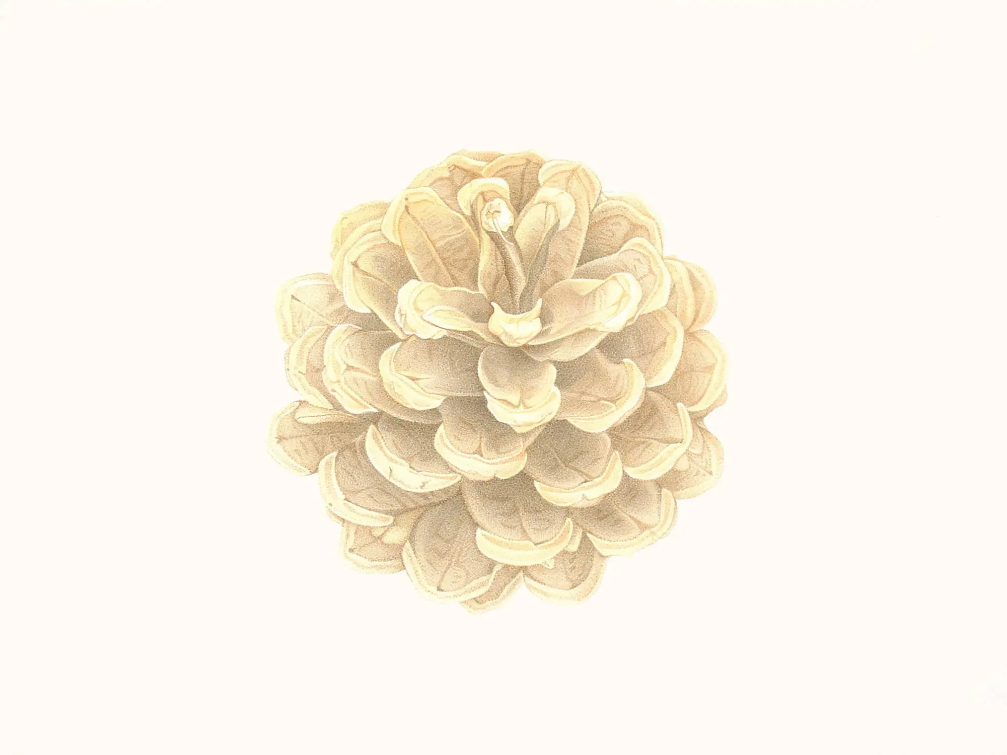 104_Christine-Leins_Aquarell_o.T._1998_45,0x34,0 cm