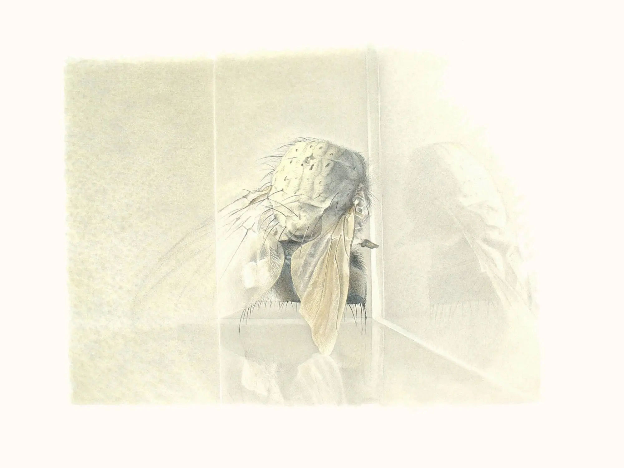 105_Christine-Leins_Aquarell_o.T._1997_28,0x39,5 cm_KuKa Wien