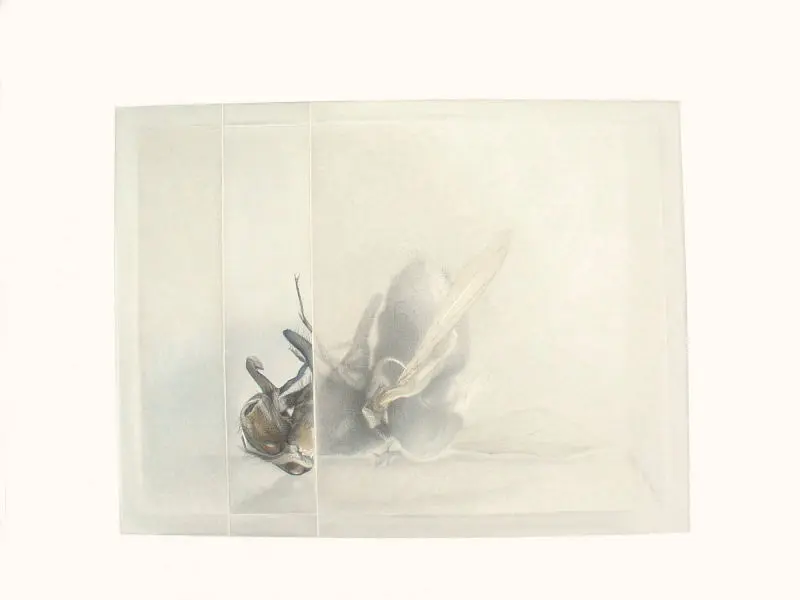 106_Christine-Leins_Aquarell_o.T._1997_31,5x41,0 cm