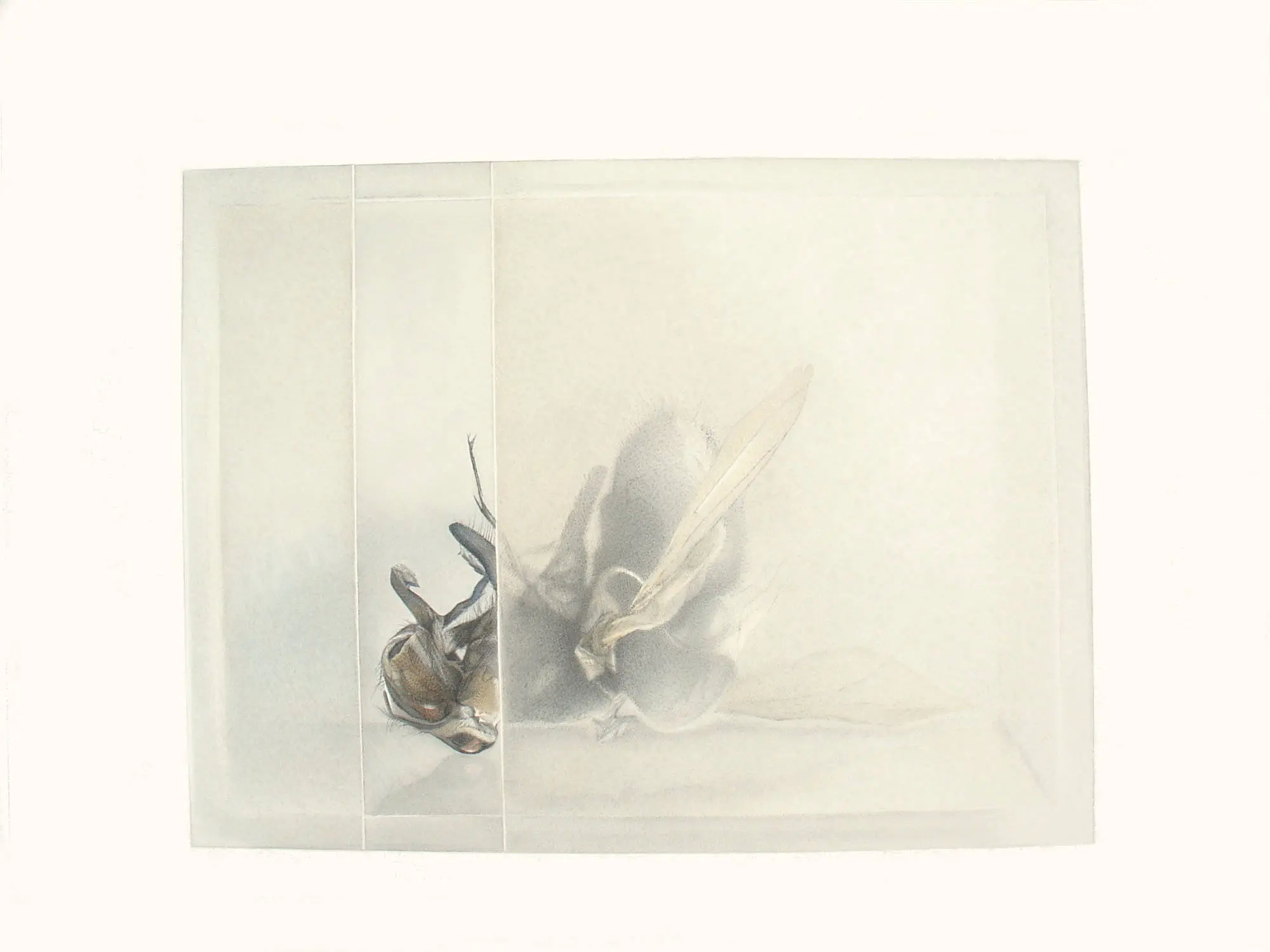 106_Christine-Leins_Aquarell_o.T._1997_31,5x41,0 cm