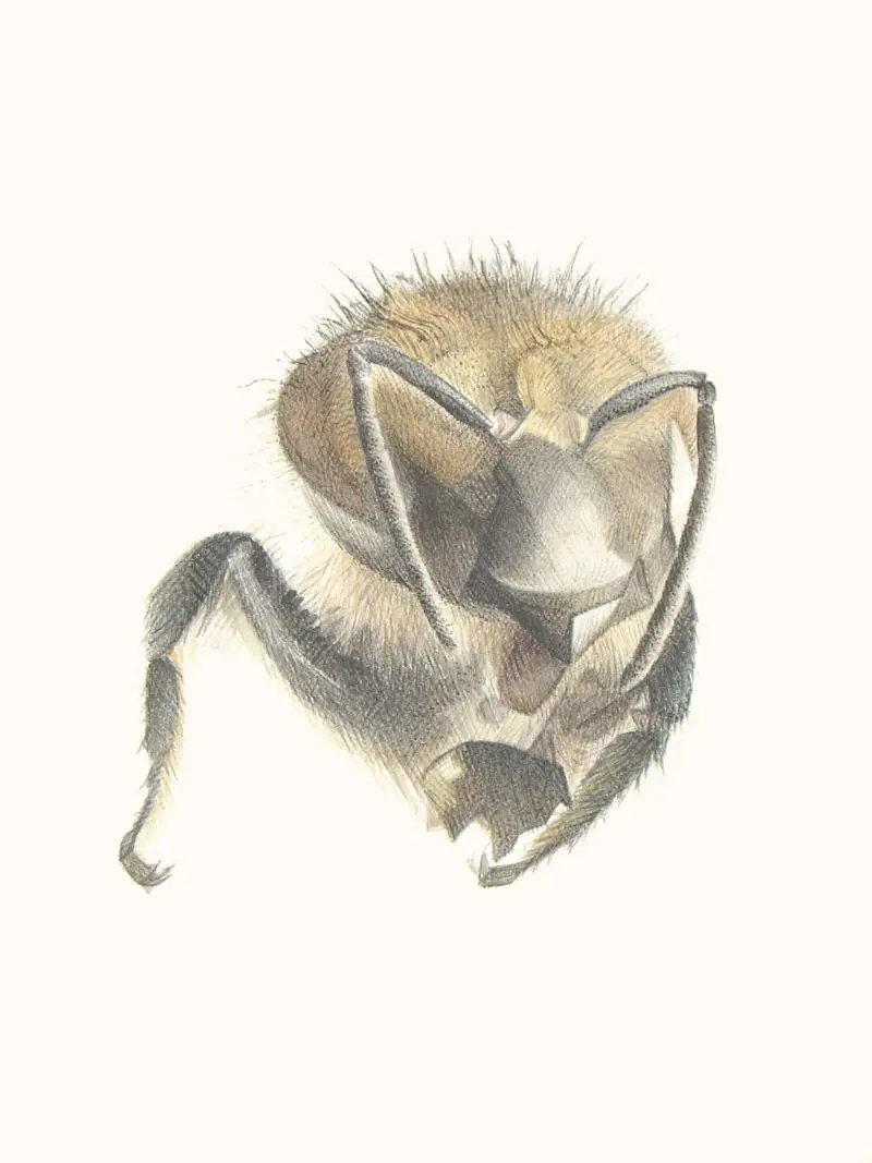 110_Christine-Leins_Aquarell_o.T._1997_38,0x28,5 cm