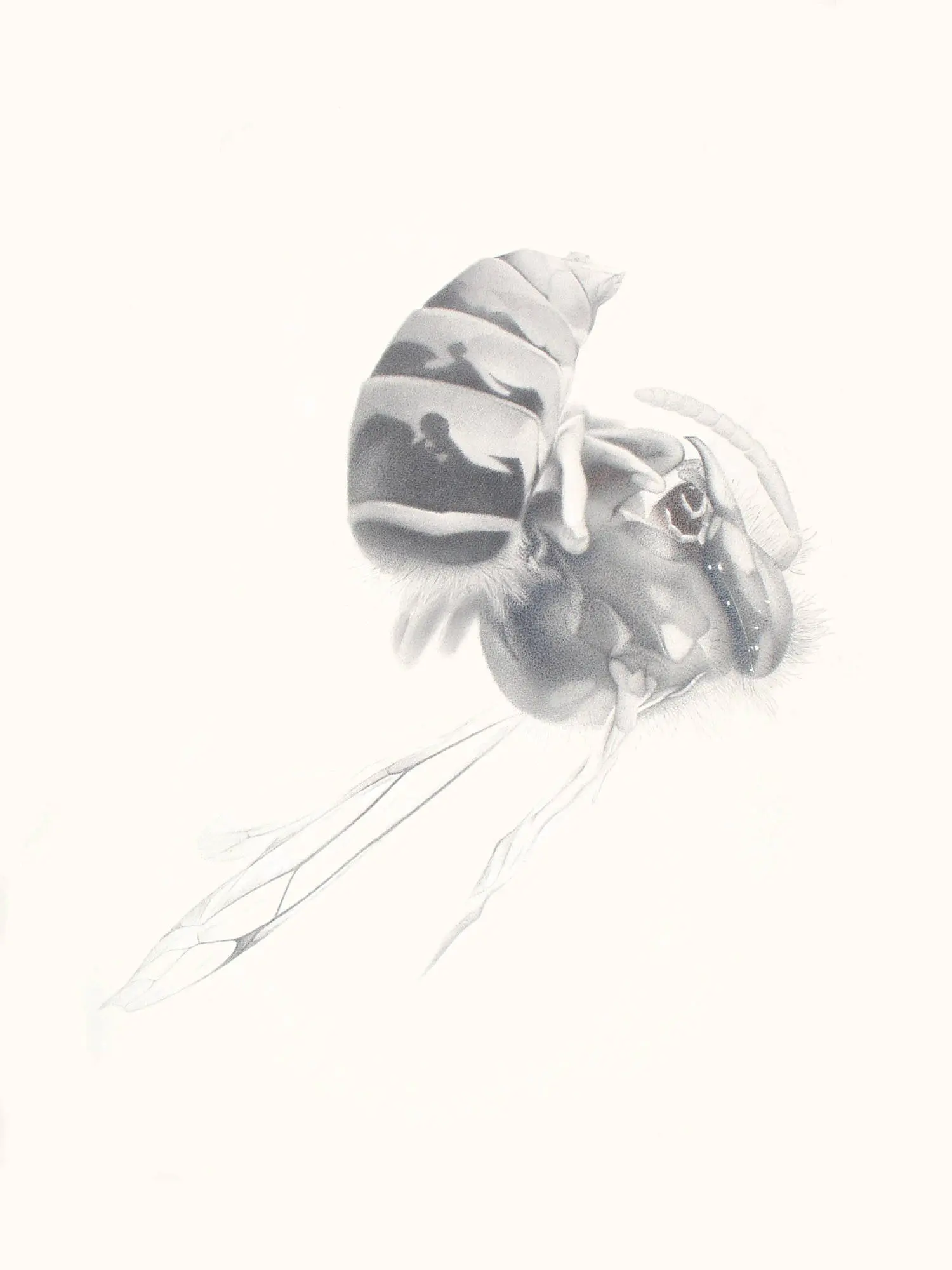 110_Christine-Leins_Aquarell_o.T._1997_38,0x28,5 cm