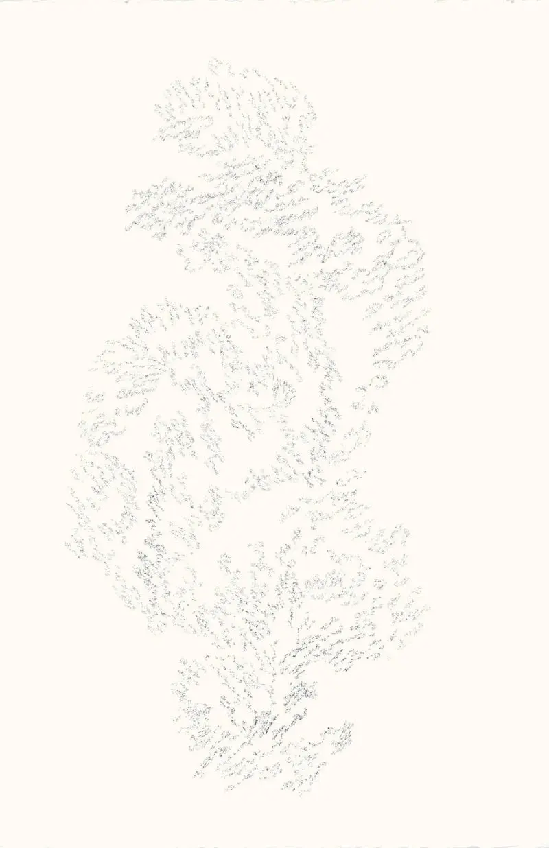 12_ChristineLeins_Tusche_o.T._2009_57,5x38_Ausstellung Angermuseum Erfurt 2011