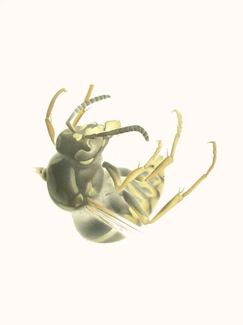 113_Christine-Leins_Aquarell_o.T._1996_38,0x28,5 cm_MuKuPa Düsseldorf