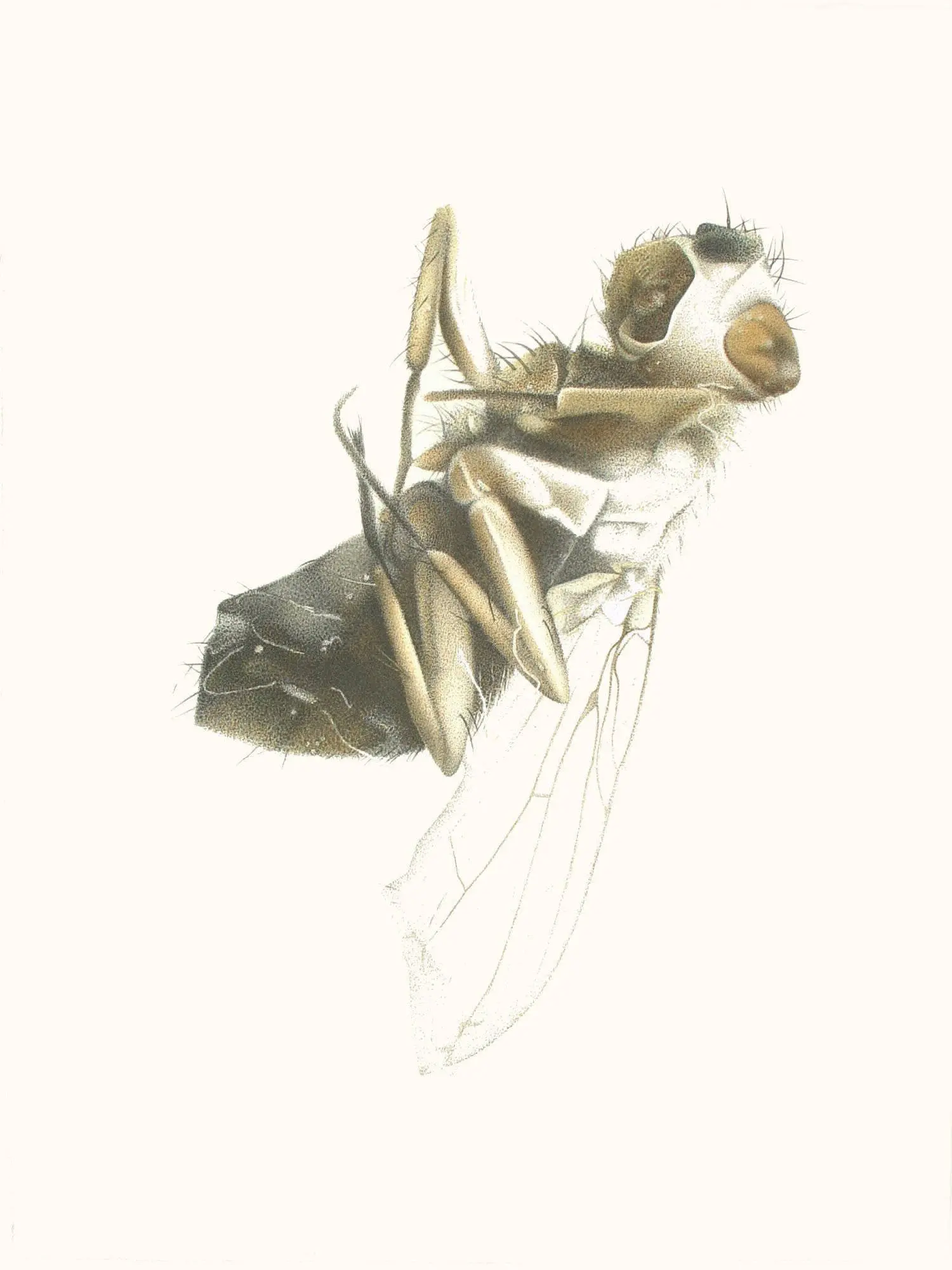 115_Christine-Leins_Aquarell_o.T._1995_38,0x28,5 cm_KuHa Mannheim