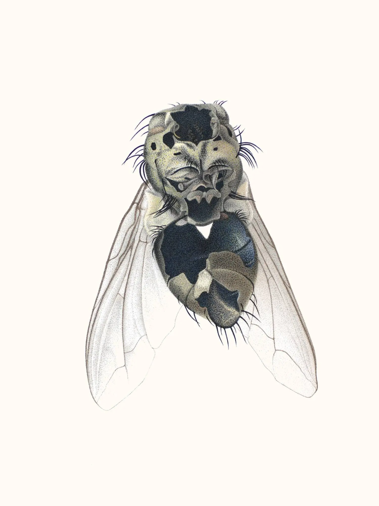 116_Christine-Leins_Aquarell_o.T._1995_38,0x28,5 cm