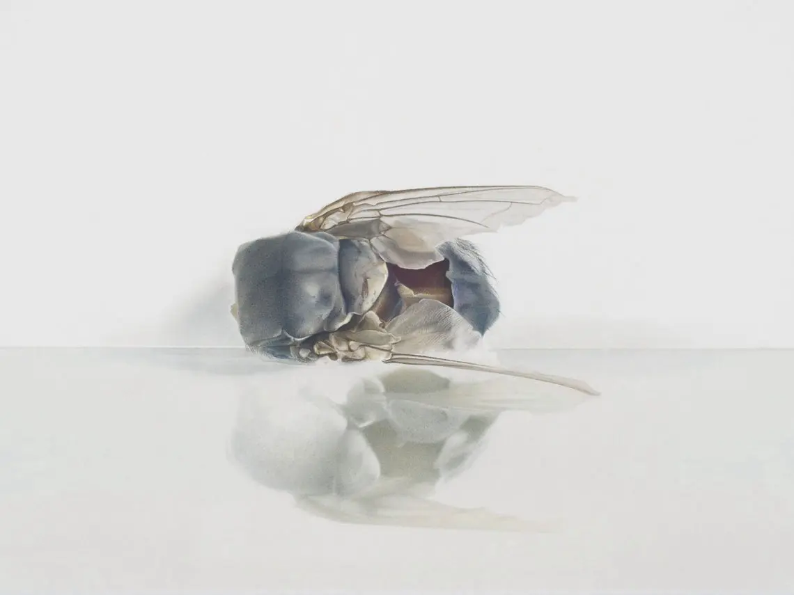 WK_01_ChristineLeins_Magischer Realismus_1992-1998